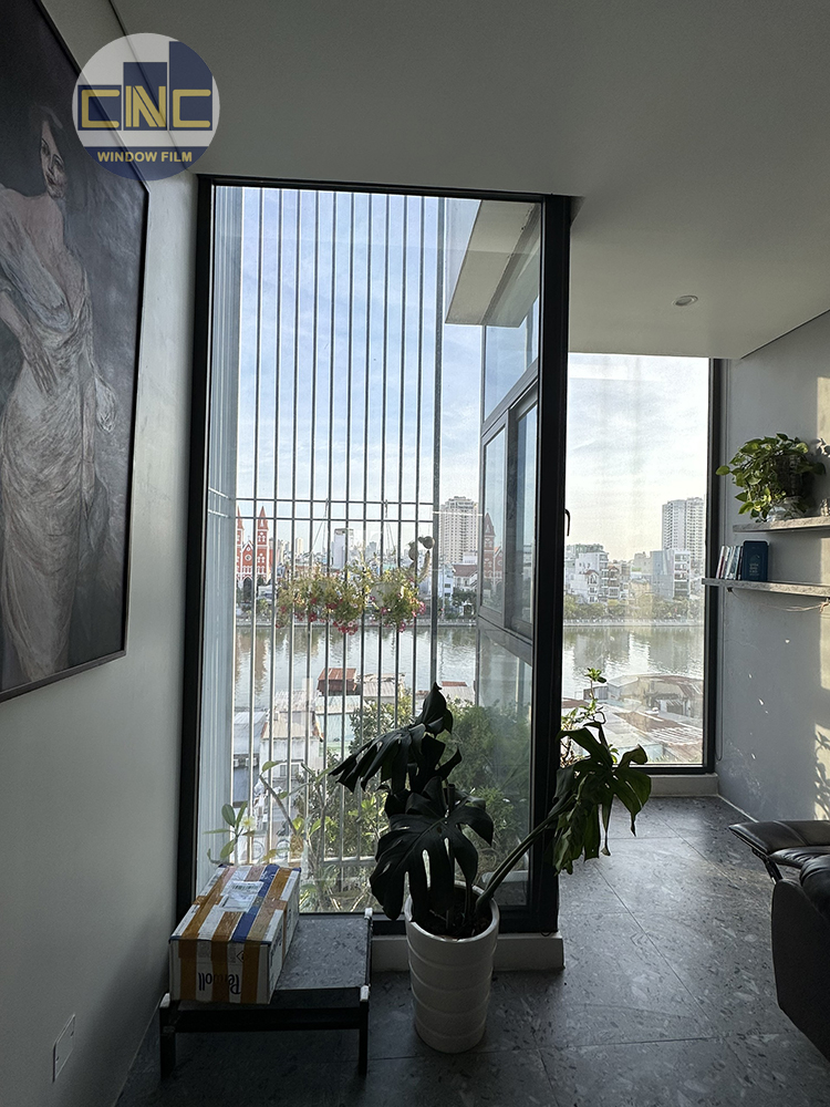 SV15 tôn thất thuyết Q4